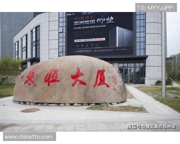 杭州网球队灵活性深度对比分析与发展潜力探讨