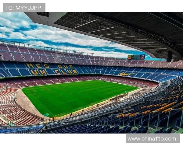 足球明星光头侠的传奇故事与球场背后的奋斗历程